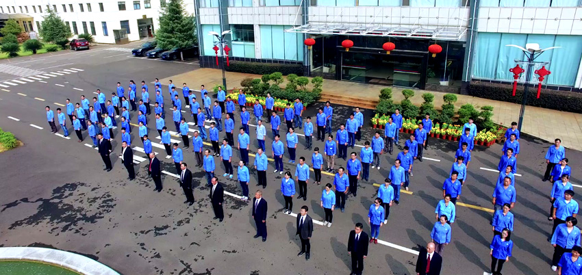 Company display(1)
